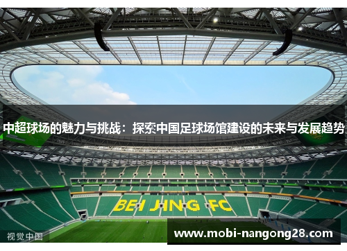 中超球场的魅力与挑战：探索中国足球场馆建设的未来与发展趋势
