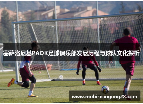 塞萨洛尼基PAOK足球俱乐部发展历程与球队文化探析