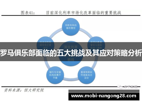 罗马俱乐部面临的五大挑战及其应对策略分析