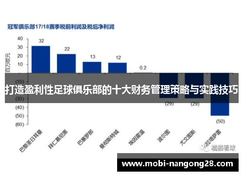 打造盈利性足球俱乐部的十大财务管理策略与实践技巧