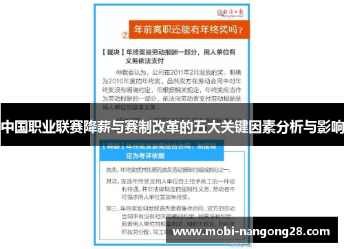 中国职业联赛降薪与赛制改革的五大关键因素分析与影响