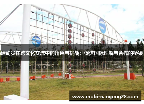 运动员在跨文化交流中的角色与挑战：促进国际理解与合作的桥梁
