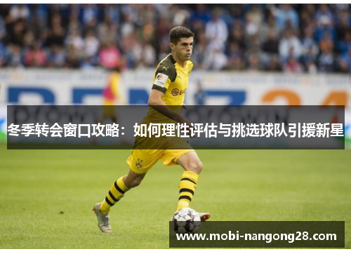 冬季转会窗口攻略：如何理性评估与挑选球队引援新星