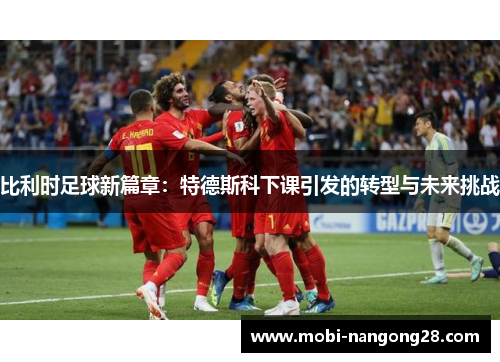 比利时足球新篇章：特德斯科下课引发的转型与未来挑战