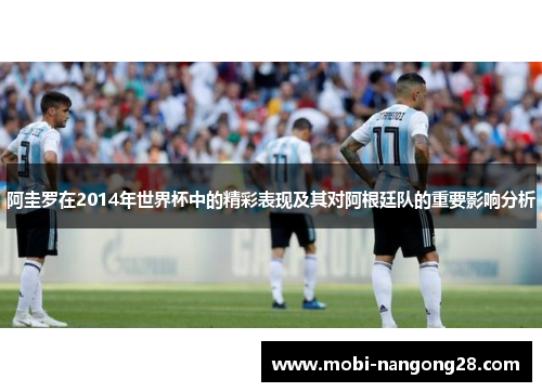 阿圭罗在2014年世界杯中的精彩表现及其对阿根廷队的重要影响分析