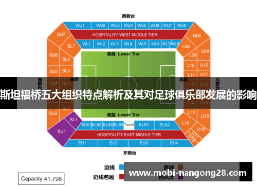 斯坦福桥五大组织特点解析及其对足球俱乐部发展的影响